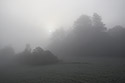 Ranní mlha - hlavní odkaz