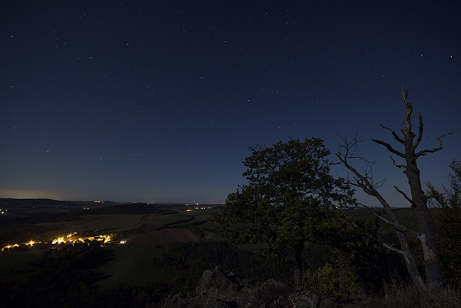 In moonlight - smaller format