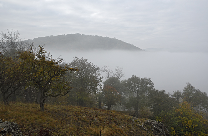 Morning in grey - smaller format