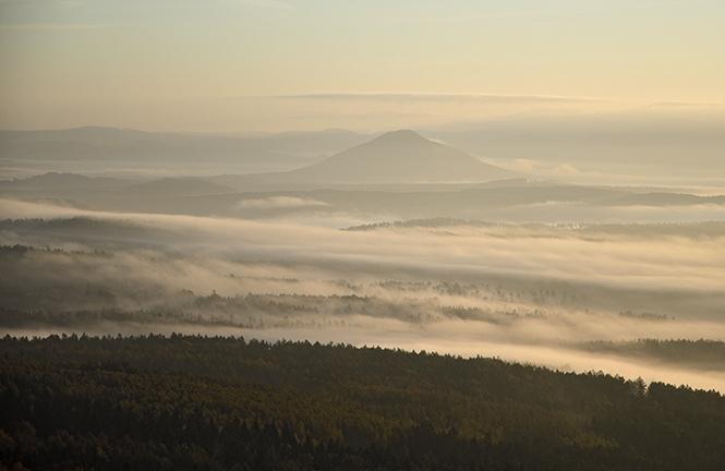 Autumn morning - smaller format