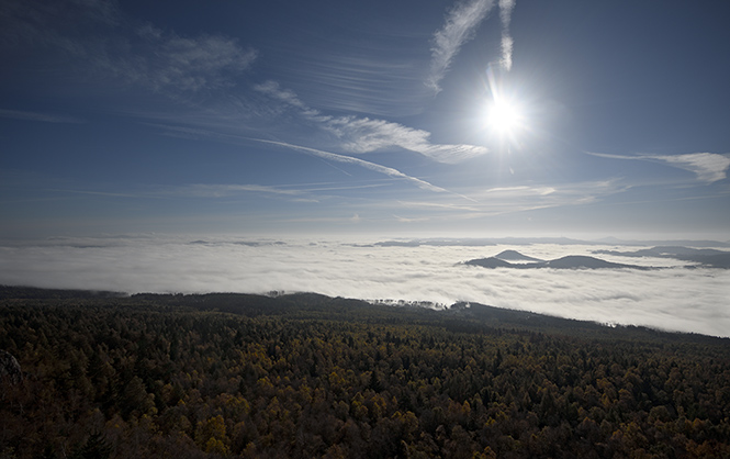 From the lookout tower - smaller format