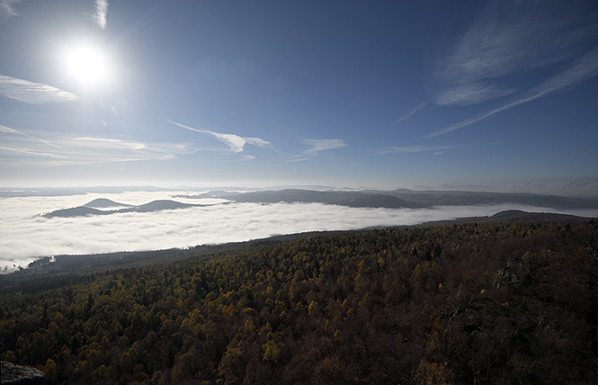 From the lookout tower - smaller format