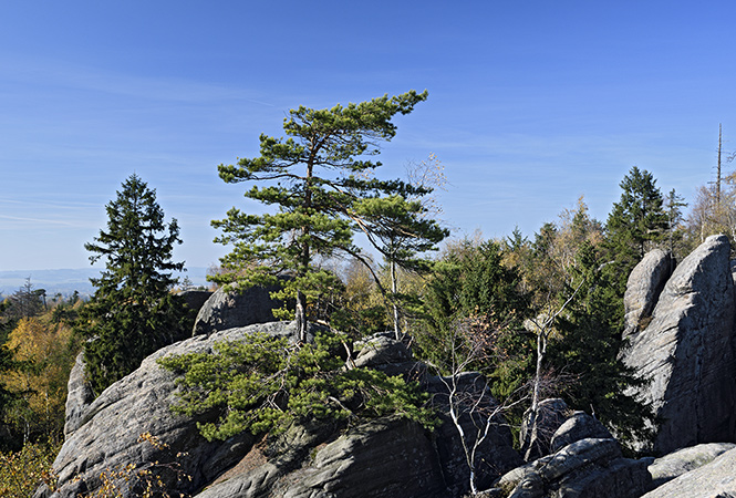On "Squirrel Rock" - smaller format