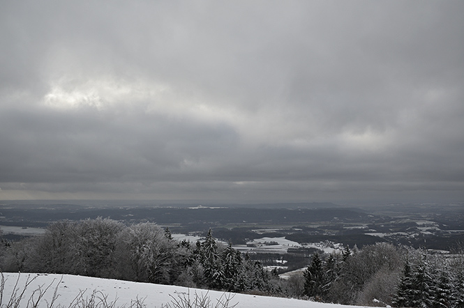 Gray view - smaller format