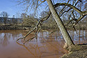 The "Executioner`s pond" - main link