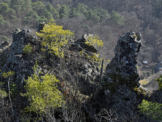 On the "Devil`s Rock" - smaller format