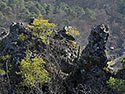 On the "Devil`s Rock" - main link