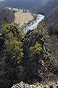 On the "Devil`s Rock" - main link