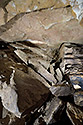 In the "Sense Delusion" cave - main link