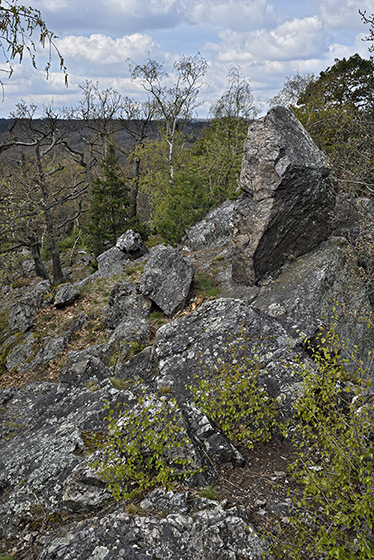 Vrovka - men formt