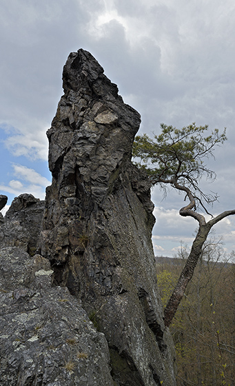 Vrovka - men formt