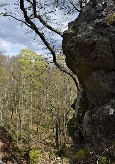 "Eagle Owl Rock" - smaller format