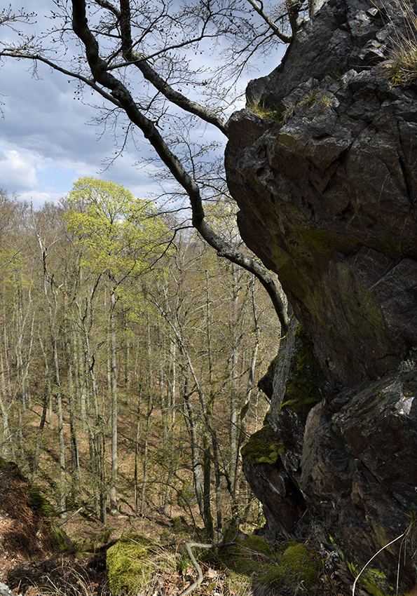 "Eagle Owl Rock" - larger format