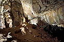 Sinter hall - main link