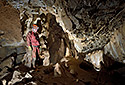 Sinter hall - main link