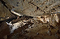 Sinter hall - main link