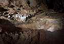 Alcove - main link