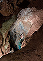 Upper chamber - main link