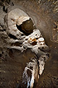 Domes - main link