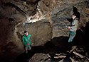 Dripstones - main link