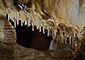Decoration - main link