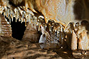 Decoration - main link