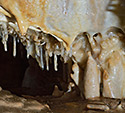 Decoration - main link