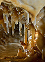 Decoration - main link