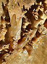 Eccentric dripstones - main link