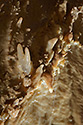 Eccentric dripstones - main link