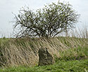 Menhir - hlavn odkaz