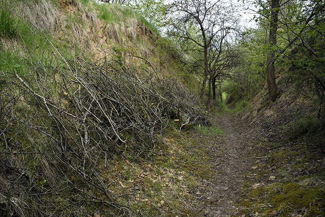 Path to the stone - smaller format