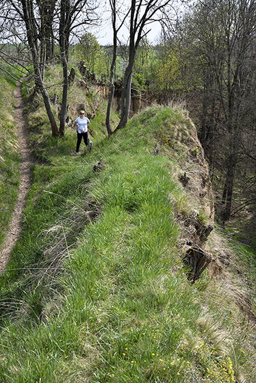Path to the gorge - smaller format