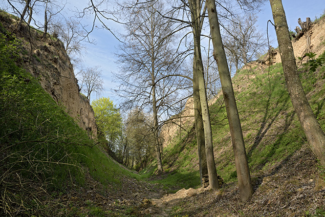 In the gorge - smaller format