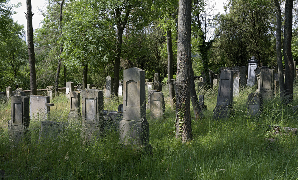 Židovský hřbitov - větší formát