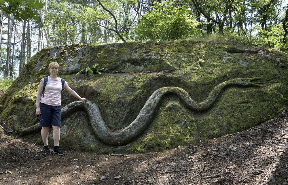 Had - větší formát