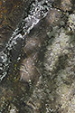 Inscriptions - main link