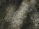 Inscriptions - main link