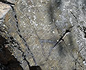 Inscriptions - main link