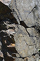 Inscriptions - main link