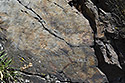 Inscriptions - main link