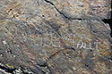 Inscriptions - main link