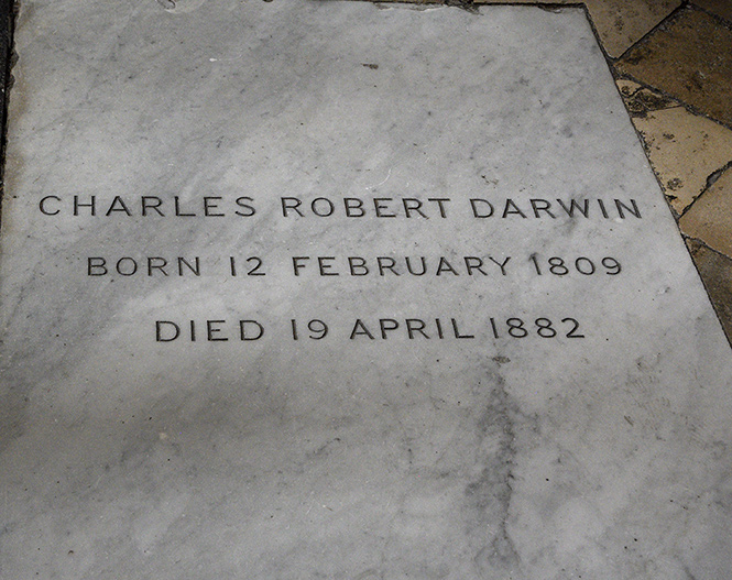 Charles Darwin - men formt