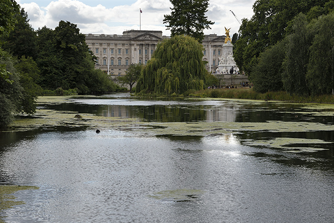 Buckingham palace - smaller format