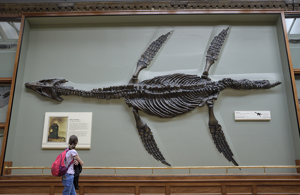 Pliosaur - larger format