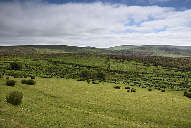 Krajina Dartmooru - men formt