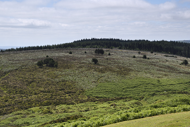 Dartmoor landscape - smaller format
