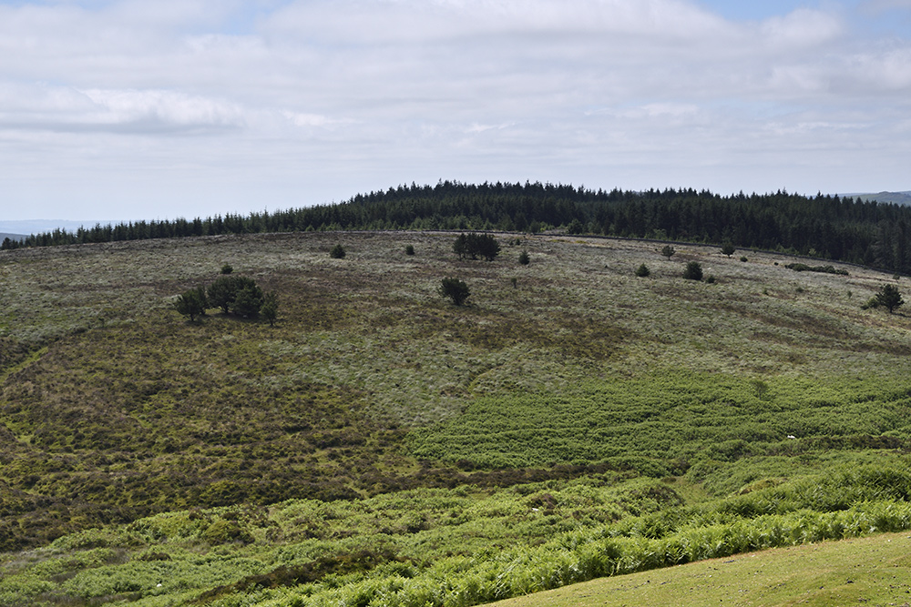 Krajina Dartmooru - větší formát