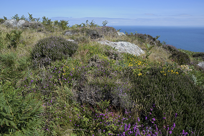 At Morte Point - smaller format