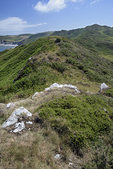 At Morte Point - smaller format